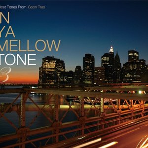 “In Ya Mellow Tone 3”的封面