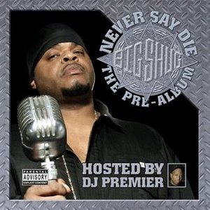 Image for 'Never Say Die (Hosted by DJ Premier)'