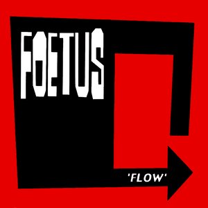 “Flow”的封面