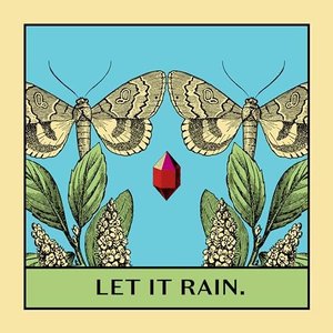 Zdjęcia dla 'Let It Rain'