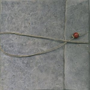 Image for 'Ashes And Snow'