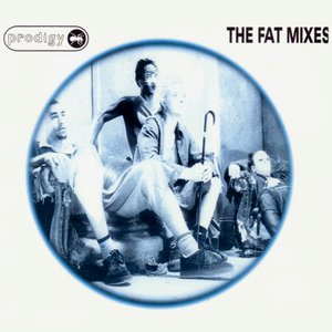 Image pour 'The Fat Mixes'