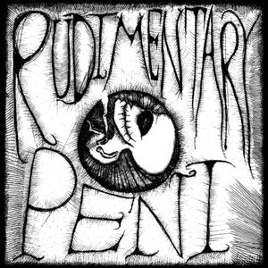 “Rudimentary Peni”的封面