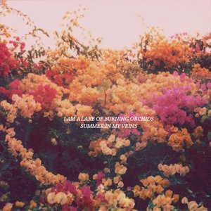 “Summer In My Veins”的封面