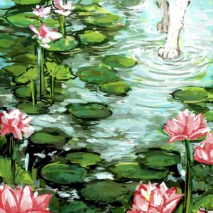 “Water Lily”的封面