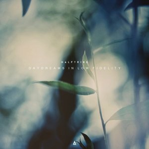 Image for 'Daydreams In Low Fidelity'
