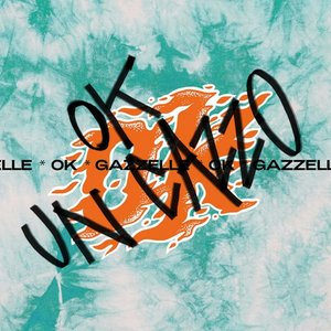 Image for 'OK UN CAZZO'