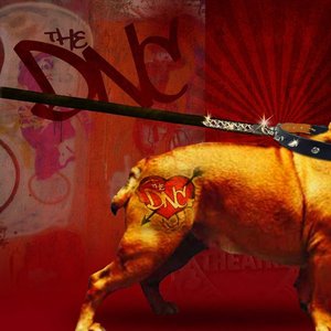 “The DNC”的封面
