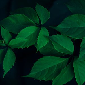 Zdjęcia dla 'Massage Tribe'