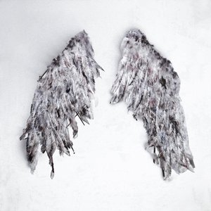 Image for 'Icarus'