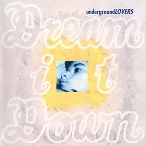 Image for 'Dream It Down (30th Anniversary Edition)'
