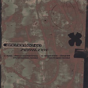 'Enchanted (Remixes)' için resim