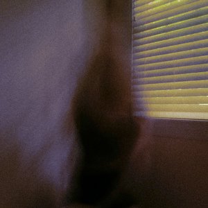 Image for 'indigo awning'