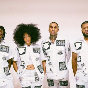 Image for 'FEVER 333'