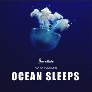 Bild für 'Ocean Sleeps (432Hz Version)'