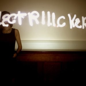 Bild für 'The electrilickers'
