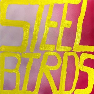 Image for 'Steel Birds'