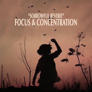 Zdjęcia dla '"Sorrowful Reverie" - Focus & Concentration'
