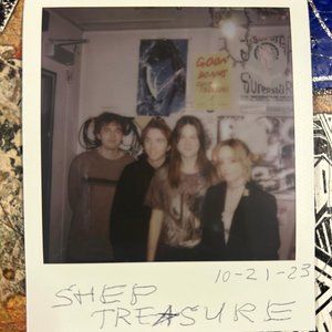 Image for 'shep treasure'