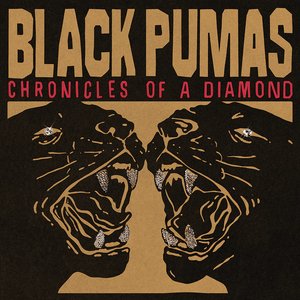 Image for 'Chronicles of a Diamond'