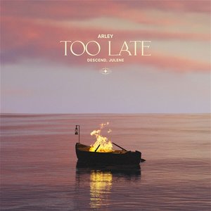 Image for 'Too Late'