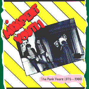 Imagem de 'The Punk Years: 1976-1980'