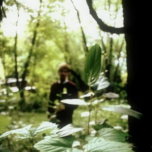 Image for 'Carinthia'