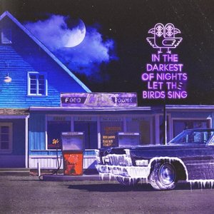 Изображение для 'In The Darkest of Nights, Let the Birds Sing'