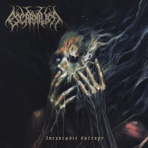 “Inexorable Entropy”的封面