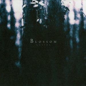 Image for 'Blossom'