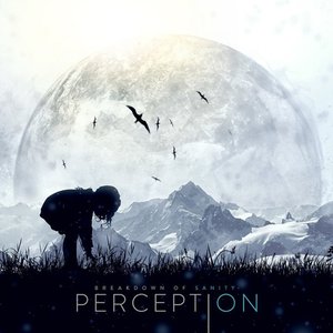 “Perception”的封面