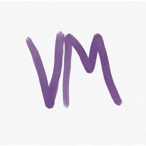 “VM”的封面