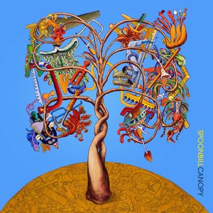 Image for 'Canopy'