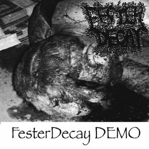 Image for 'FesterDecay DEMO'