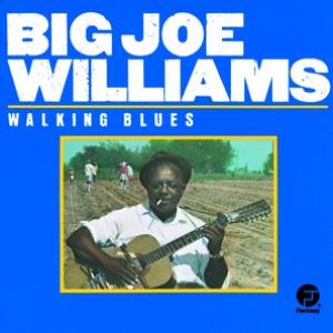 Image for 'Walking Blues'