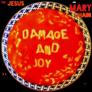 “Damage And Joy”的封面