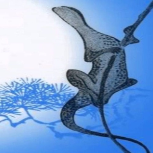NilRojo_13_
