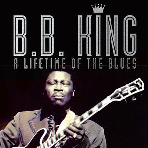 Image for 'A Lifetime of the Blues'