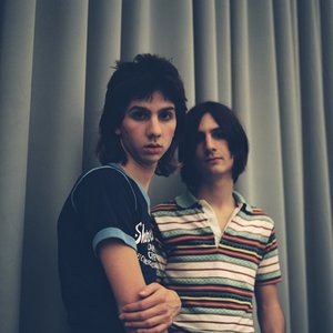 Image for 'The Lemon Twigs'