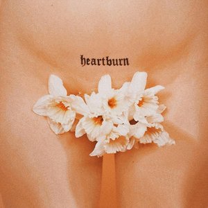 Изображение для 'Heartburn'