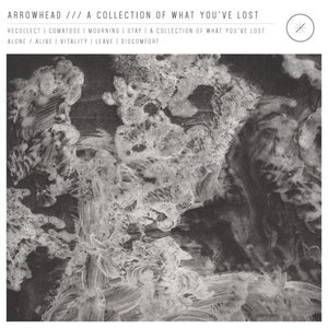 Bild für 'A Collection Of What You've Lost'