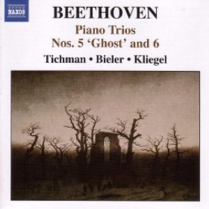 Image for 'Beethoven, L. Van: Piano Trios, Vol. 1 - Piano Trios Nos. 5, 6, 10'