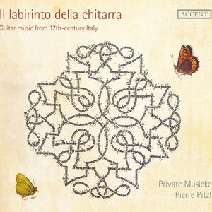 Image for 'Il labirinto della chitarra'