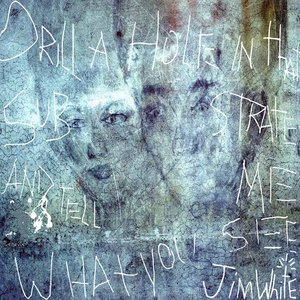 “Drill a Hole In That Substrate and Tell Me What You See (Deluxe Version)”的封面