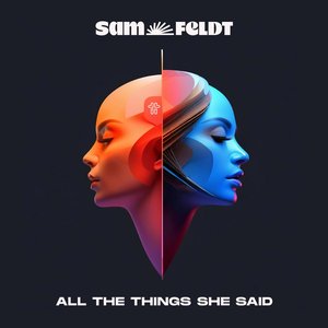 Image for 'All The Things She Said'