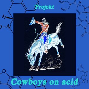 Image for 'Cowboys On Acid'