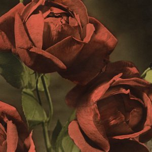 Image for 'Another Country'