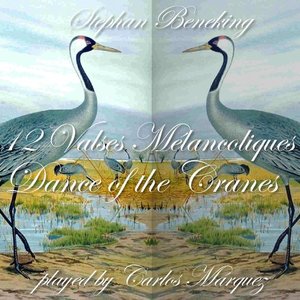 Изображение для '12 Valses Mélancoliques - Dance of the Cranes'