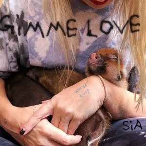 Image for 'Gimme Love'