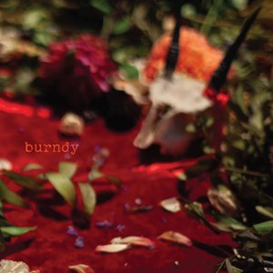 “burndy”的封面
